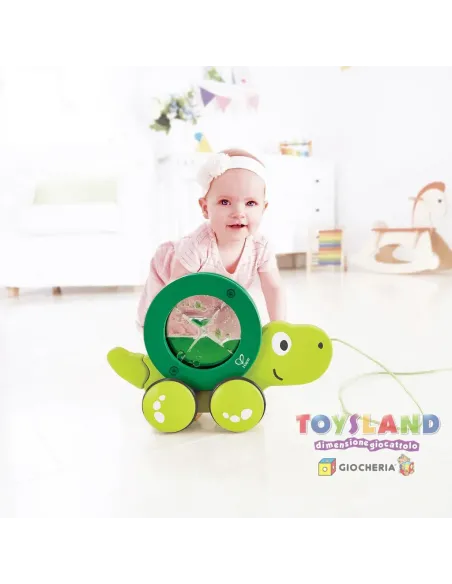 TARTARUGA DA TRAINARE (E0354)