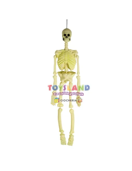 SCHELETRO PVC CM.100 (30460)