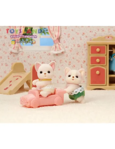 GEMELLI CHIHUAHUA (5431)