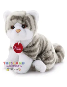 GATTINO BRAD TIGRATO GRIGIO (20851)