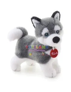 CANE HUSKY MARCUS (22271)