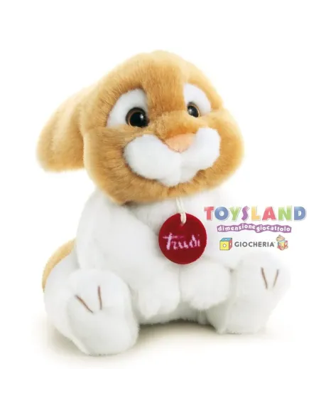 CONIGLIO OLIVIERO CM. 24 (23741)