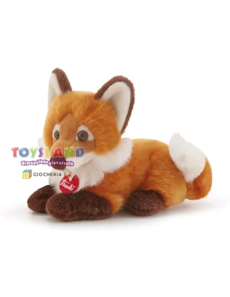TRUDINO VOLPE  (51278)