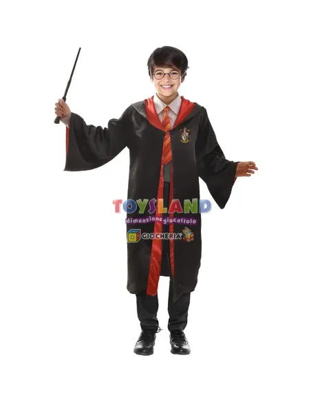 COSTUME HARRY POTTER (11727.7-9)