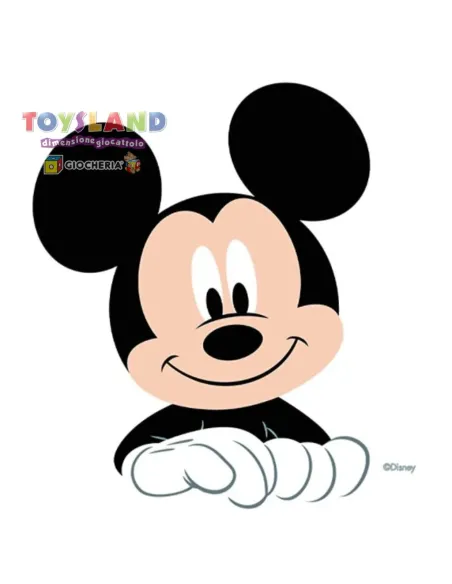 COSTUME TOPOLINO 6/12 MESI (11247.6-12)