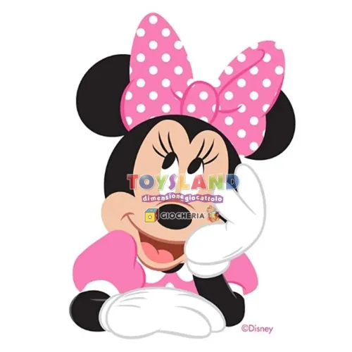 COSTUME MINNIE 6/12 MESI (11244.6-24)