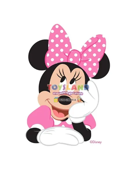 COSTUME MINNIE 6/12 MESI (11244.6-24)